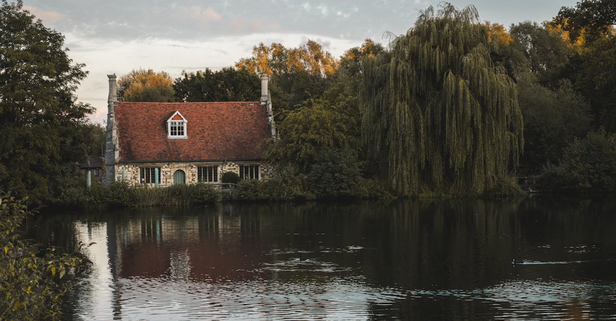 Common Gutter Problems and Solutions