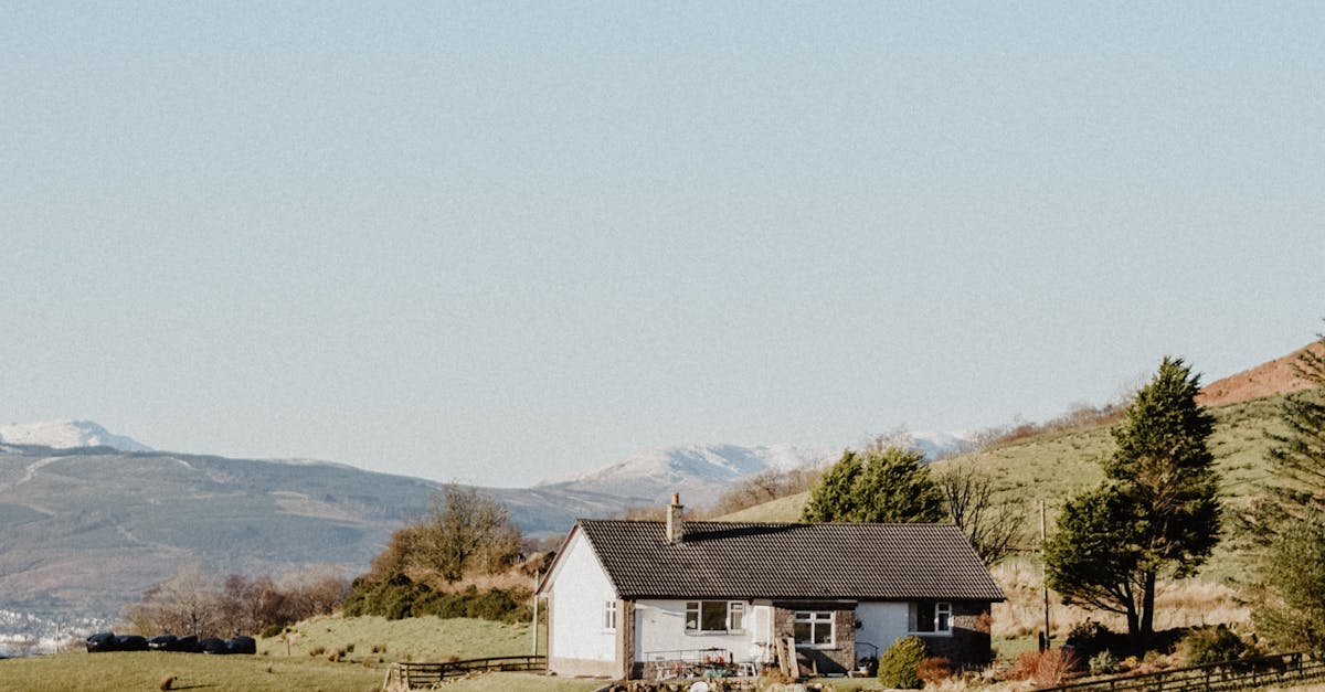 Comparing Asphalt Roofing to Other Materials for UK Properties