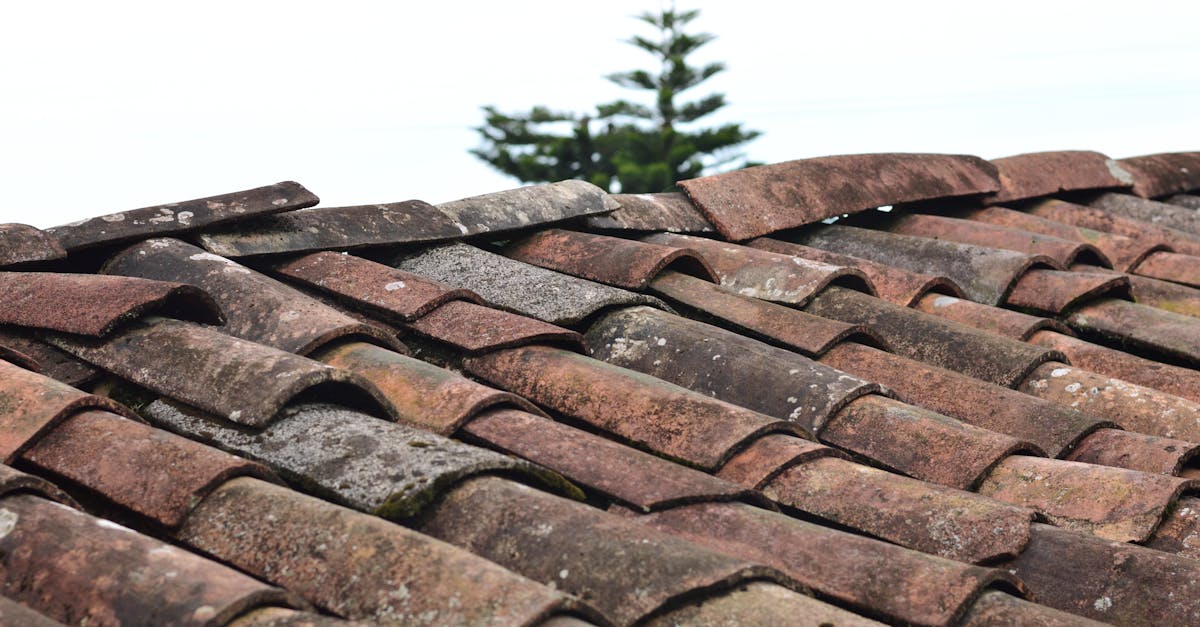Importance of Chimney Maintenance in the UK