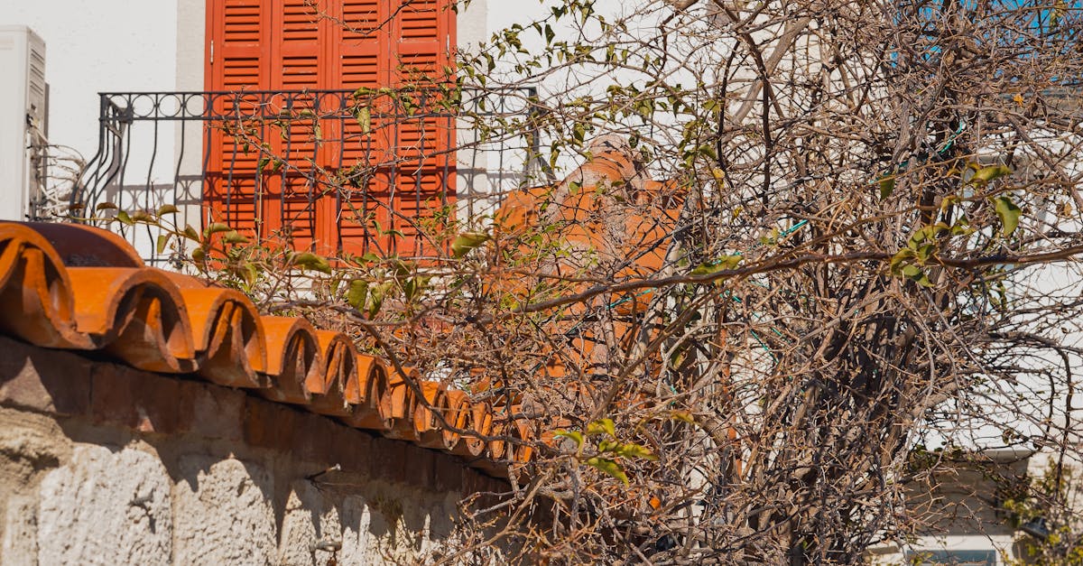 Key Considerations for Flat Roof Installation in the UK