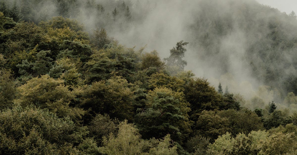 Regulations and Permits for Solar Panel Roof Installation in the UK