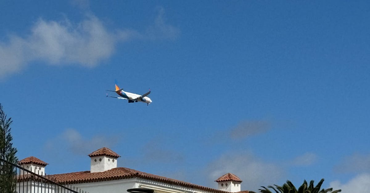 The Importance of Regular Maintenance for Tile and Slate Roofs